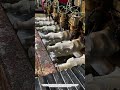 Inside a Marble Statue Factory | Amazing CNC Stone Carving Process