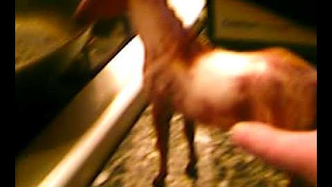 model horse resculpting tutorial part 1