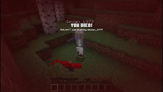 Average Minecraft Experience