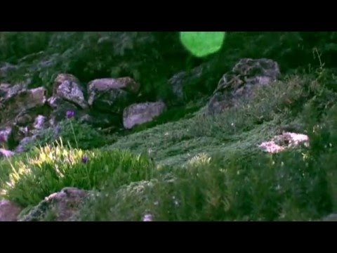 Logan Utah Wedding Video - Don and Heather