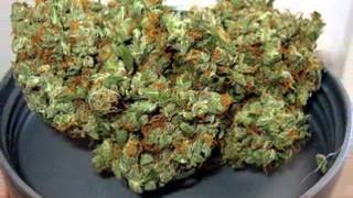 It's Friday (Let's Get High)-Crazy Ace