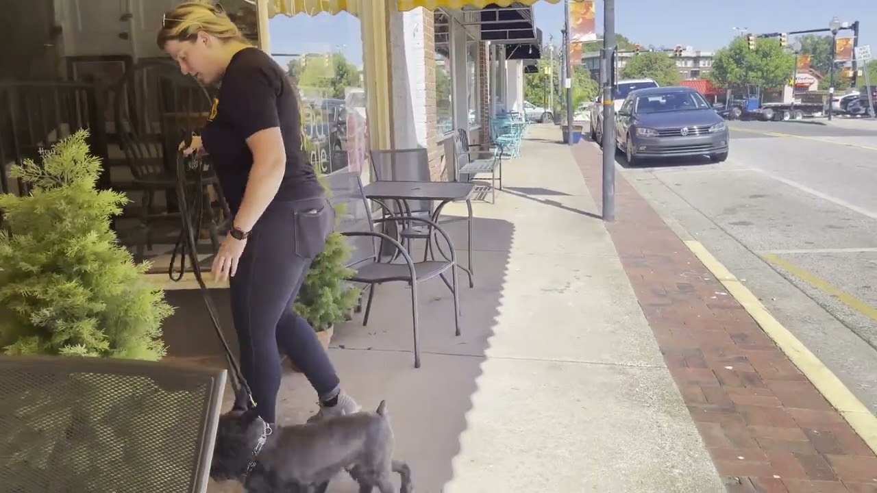 Fort Mill SC Dog Training with Suburban K9!