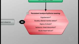 ACLS 2020 - Bradycardia Algorithm