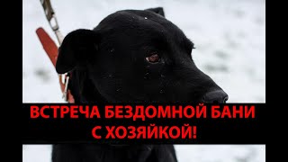 До Свидания Нелюбимый Город Новая Жизнь Бани, Над Которой Издевались В Курске