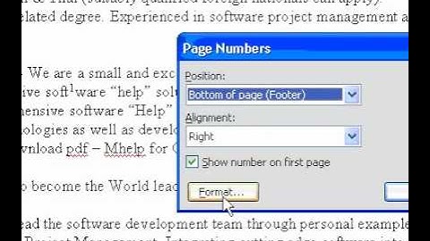 Microsoft Office Word 2003 Change the pagenumber format
