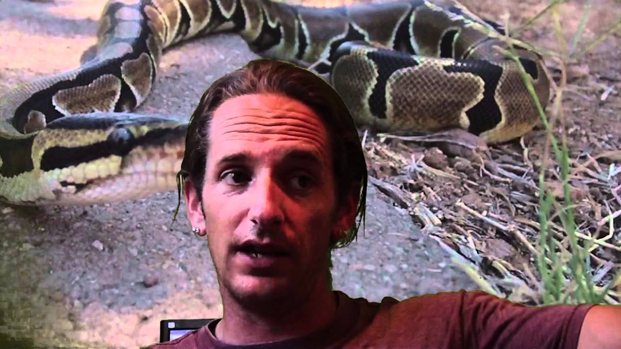 cruelty free kiko Reptile News: Lake Erie watersnake no longer threatened