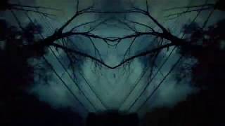DEADBIRD - Alexandria (Official Video)