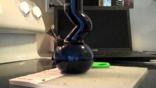 Long Beach Strain Review: QnA session.