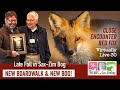 Late Fall Sax-Zim Bog Red Fox Close Encounter: Virtually Live 30 S3E5