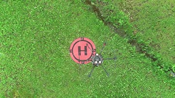 High Speed Autonomous Aerial Navigation Through Trees