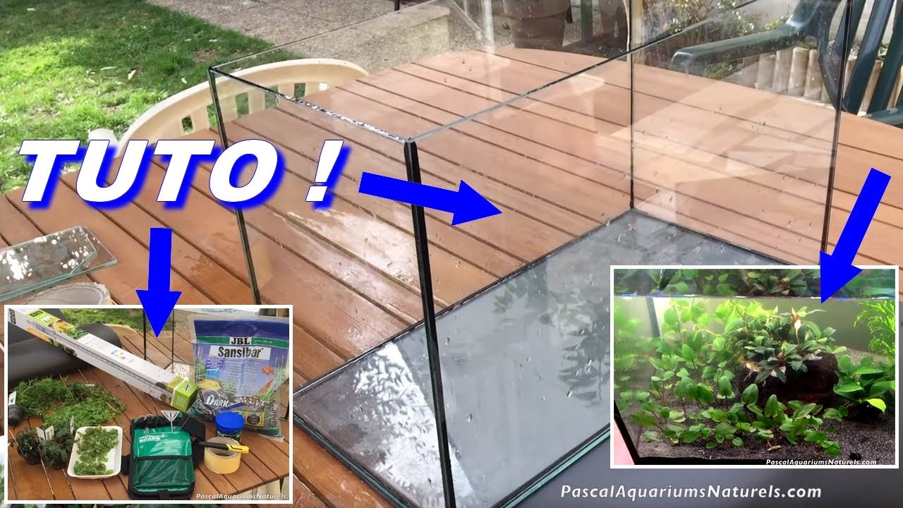 Tuto Aquarium Naturel SANS FILTRE (nano bac mystère 3) Pascal