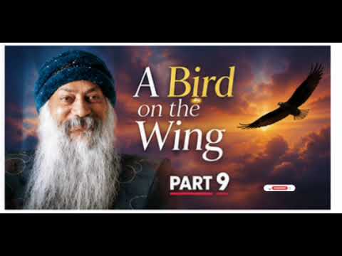 A Bird on the Wing Part 9 #viral #osho #trending #viralvideo #shortvideo  #motivation #usa 