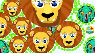 Agar.io Solo Like A Beast Team Trick Split Dominating The Server ! (Agario Best Moments)