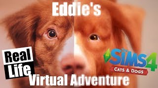 LIVING INSIDE THE SIMS 4 | Eddie's virtual adventure | A sims 4 Dog Story / Crossover screenshot 5
