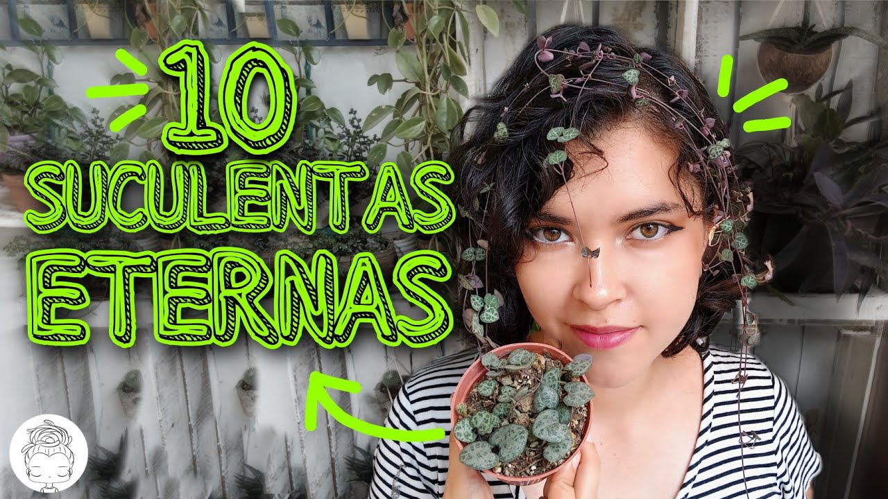 ÉXITO SIN ESFUERZO: 10 SUCULENTAS INDESTRUCTIBLES 💚✨💚✨