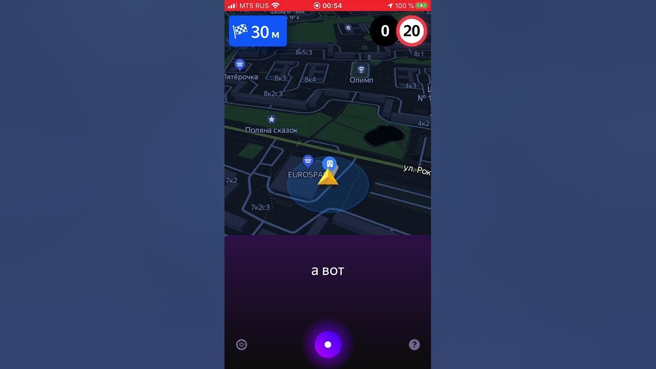 Яндекс Алиса какую машину купить - отечественную или иномарку? - YouTube