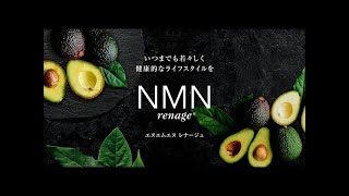 NMN PQQ サプリメント renage GOLD NMN/PQQ/CQ10 60粒 日本製 ピロロ 