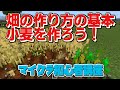 【マイクラ初心者講座】畑の作り方の基本！小麦を育てて食料確保！農業の基礎！色々使える必須の作物【マインクラフト/Minecraft/スイッチ/統合版/BE/PE/スマホ】
