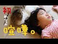 猫と子供の初めての喧嘩物語