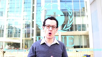 The use of Models in Urban Metabolim - Esteban Munoz (UN Environment)