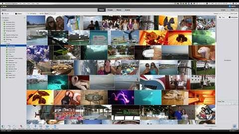 Organizer Importing Building Albums PSE 2020