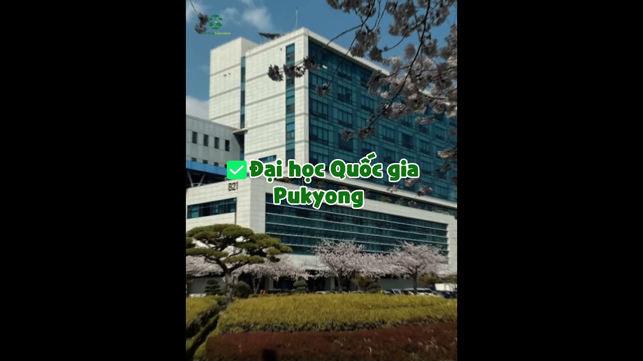 Video Du học ngành logistic tại Hàn Quốc nên chọn trường nào? - youtube