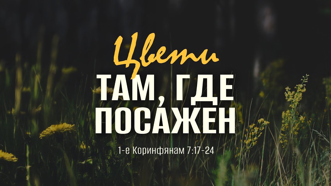 Цвети там, где посажен | 1 Кор. 7:17-24 || Андрей Зубарев
