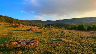 Erzurum Narman Başkale Köyü yazın başka bir güzel...🍀#viralvideo #erzurum #trendingvideo