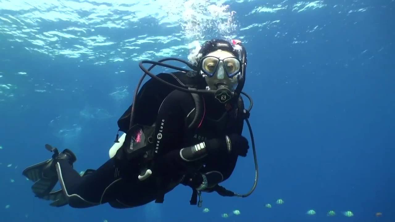 Komodo & East of Flores 2014