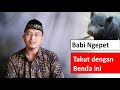 6 Benda Penangkal Yang Ditakuti Babi Ngepet