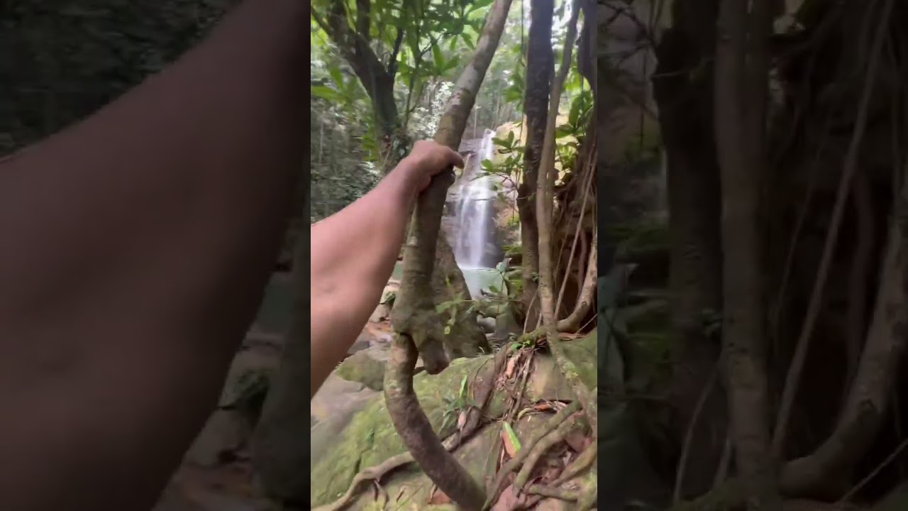 Cascada la diabla #travel #caquetá #colombia #viralvideo #viral #viralshort #viralshorts 