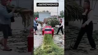 mashinka Calafka Xolaha Shiida kafaideso Macmil kasoo dalbo numbarka kor Saran Macmil
