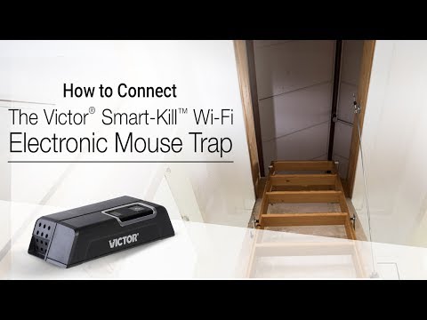 Victor® Smart-Kill™ Wi-Fi Electronic Mouse Trap - 2 Traps