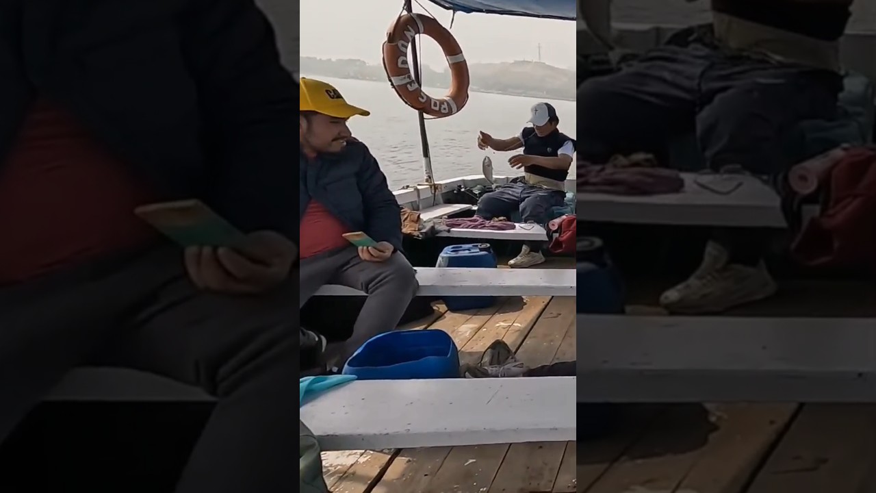 Pesca en bote  Muelle pescadores #comopescar #pesca #peces #cabrilla #playa #beautiful #viralvideo