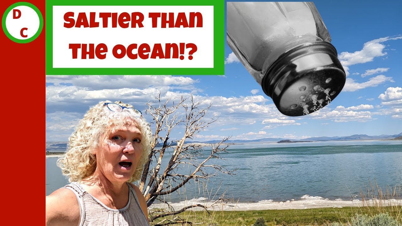 Mono Lake~ Lord of the flies?