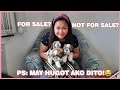 FOR SALE? OR NOT FOR SALE? 8 WKS. OLD SHIH TZU! HUGOT PA MORE! UNBOXING TAYO!🐶💑🇩🇪