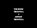 【マッシュアップ】THE BOOM x 小泉今日子