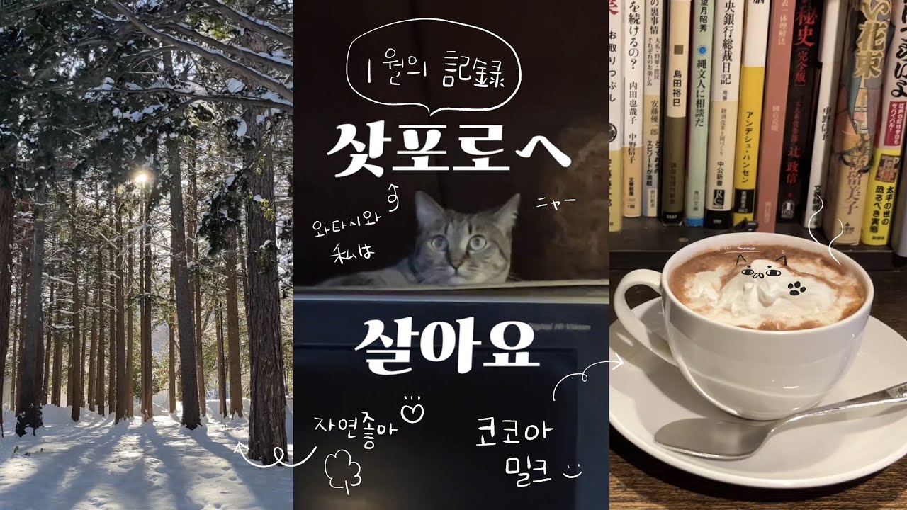 삿포로 직장인 브이로그 ㅣ자연과🌳 동물을🐈 기록한 1월의 일상📝