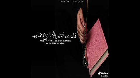 حالات واتس اب - ستوريات انستكرام - حالات 30 ثانية - حالات يوم الجمعة - قرآن كريم بصوت جميل