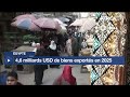 Egypte : 4,6 milliards USD de biens exportés en 2025