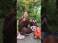suara kambing kecil #funny #shorts