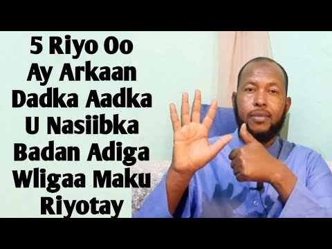 5 Riyo Hadat Aragto Waxaad Ka Mid Tahay Dadka Aadka U Nasiibka Badan Ee Waligaa Maku Riyootay