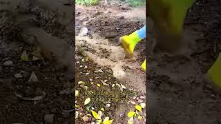 このシリコン製のシューズカバーがあれば＃雪や雨で靴が濡れることはもうない！