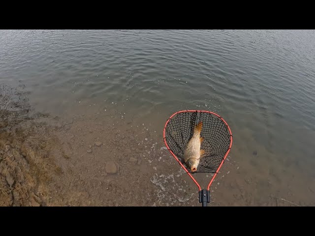 Glenbawn Dam Carp fishing with a good mate 