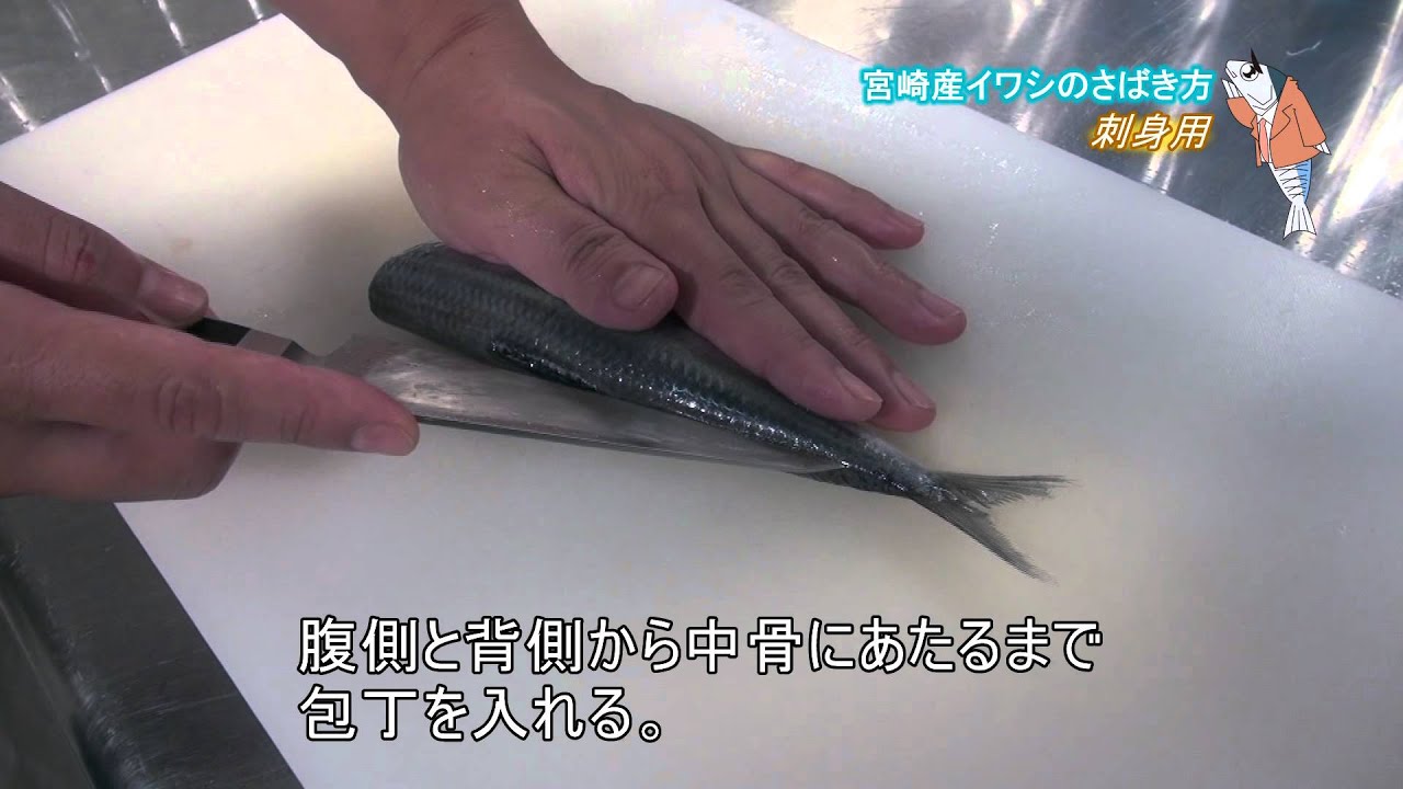 いわしの刺身のさばき方 小骨の処理や寄生虫の危険 うまい食べ方も 食生活研究所 食 ラボ