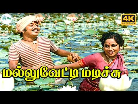 Mallu Vetti Madichu Song Lyrics on YouTube