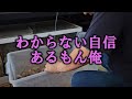 7月6日アクアフェスティバル用のアロワナ輸入したらわけわかんなかった