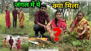 जंगल में ये क्या मिला | Husband जी ये क्या बोल दिये | Sonam Priya Vlogs