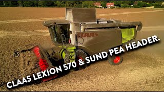 4Kᵁᴴᴰ Harvest 2024: Claas Lexion 570 cutting peas with a Sund header near Yoxford in Suffolk.