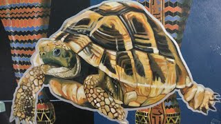 tortoise painting acrylic | Tortoise Painting | #Shorts #BipulRoyPainting